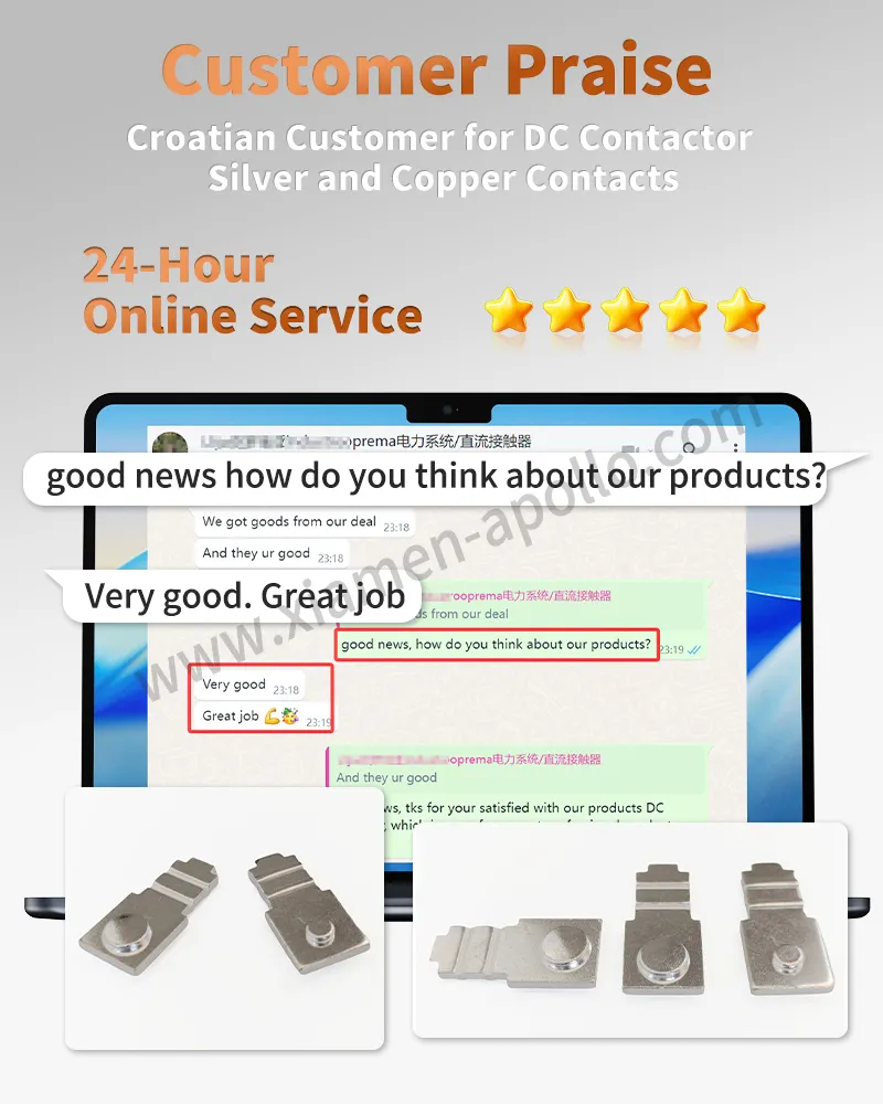 Croatian Customer for DC Contactor Silver and Copper Contacts Croatian Customer for DC Contactor Silver and Copper Contacts